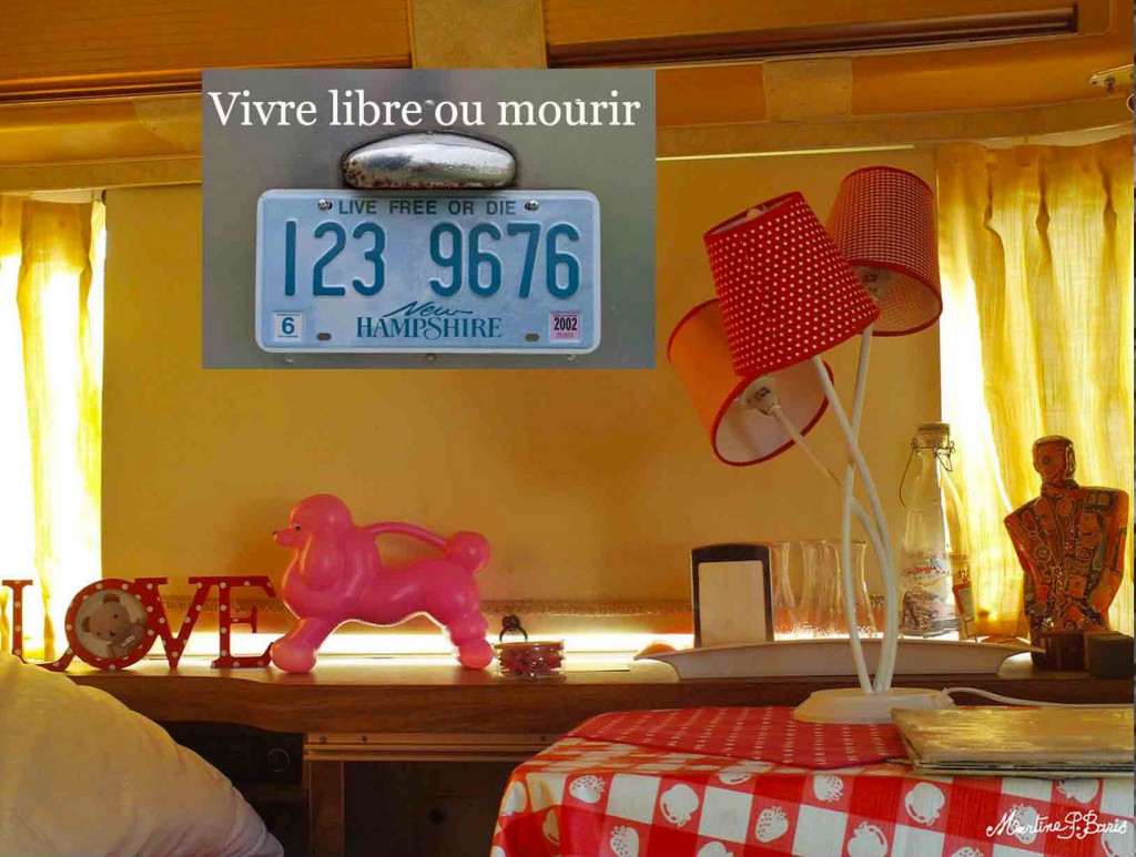 roulotte-elvis-decoration-interieure-2